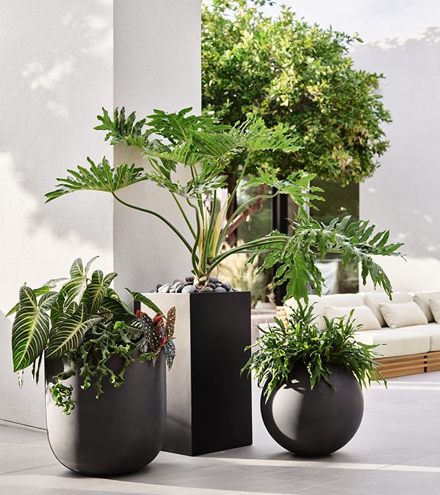 keep things clean, modern and green