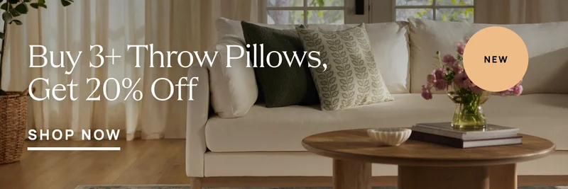Buy 3+ Throw Pillows, Get 20% Off - Shop Now