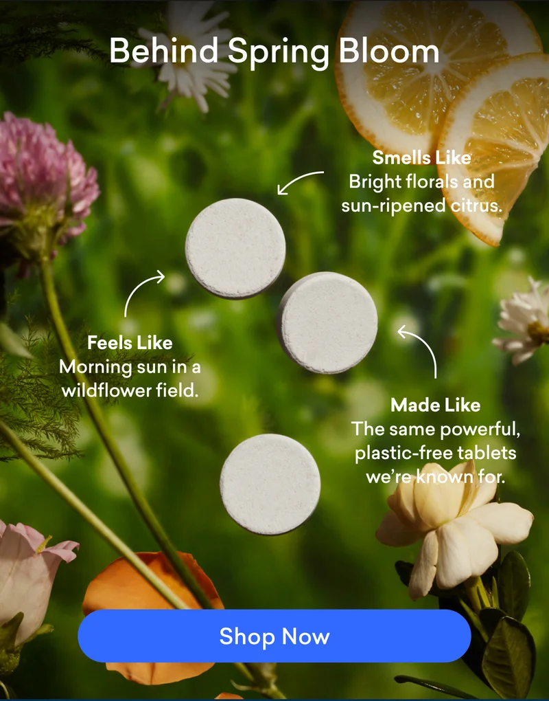 Shop Spring Bloom