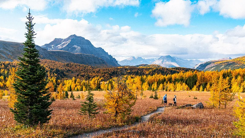 Image description: A couple hiking on a trail through the mountains in the fall