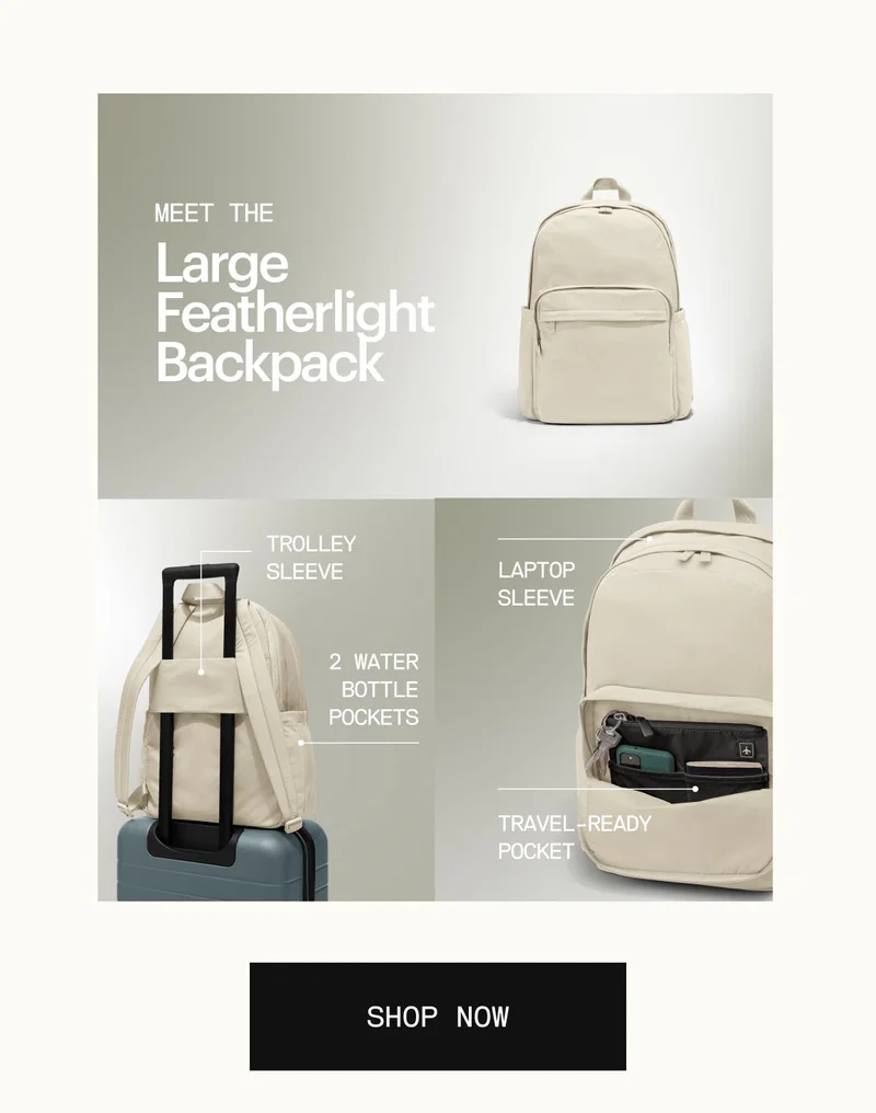 Meet the Large Featherlight Backpack