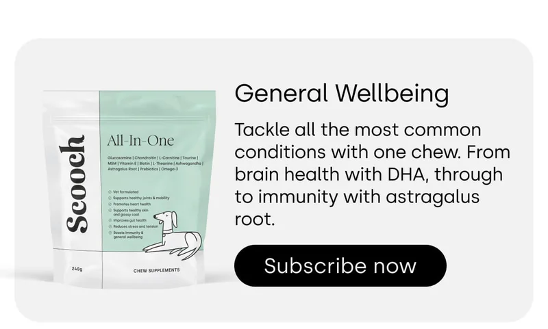 General Wellbeing - Subscribe now