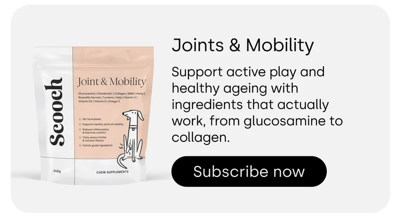 Joints & Mobility - Subscribe now