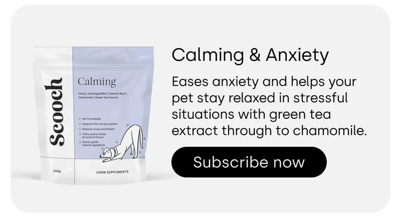Calming & Anxiety - Subscribe now