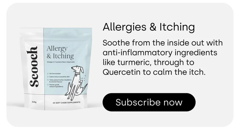 Allergies & Itching - Subscribe now
