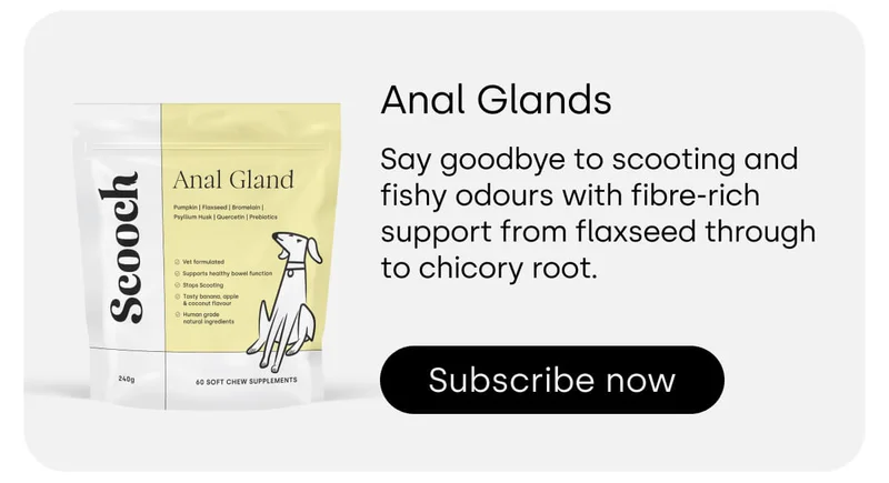 Anal Glands - Subscribe now