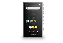 NW-A306 Digital <br>Media Player