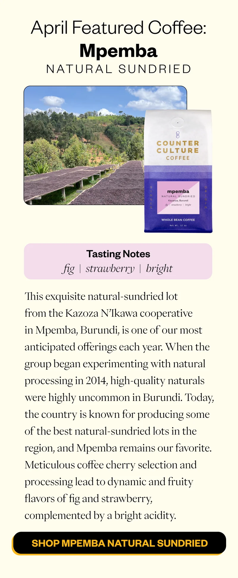 April Featured Coffee  Mpemba Natural Sundried  fig | strawberry | bright  Save $1 all month!  This exquisite natural-sundried lot from the Kazoza N’Ikawa cooperative in Mpemba, Burundi, is one of our most anticipated offerings each year. When the group began experimenting with natural processing in 2014, high-quality naturals were highly uncommon in Burundi. Today, the country is known for producing some of the best natural-sundried lots in the region, and Mpemba remains our favorite. Meticulous coffee cherry selection and processing lead to dynamic and fruity flavors of fig and strawberry, complemented by a bright acidity.     CTA: Shop Mpemba Natural Sundried