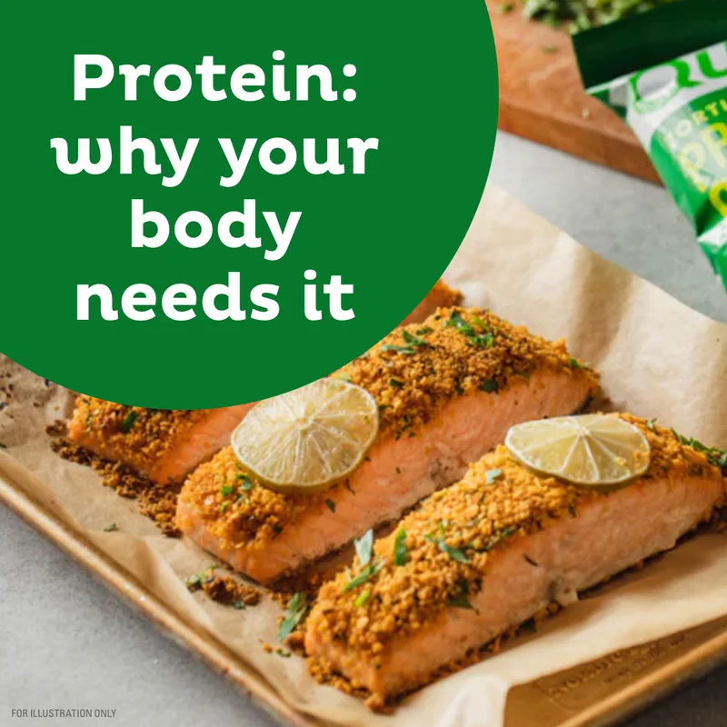 Everything about protein