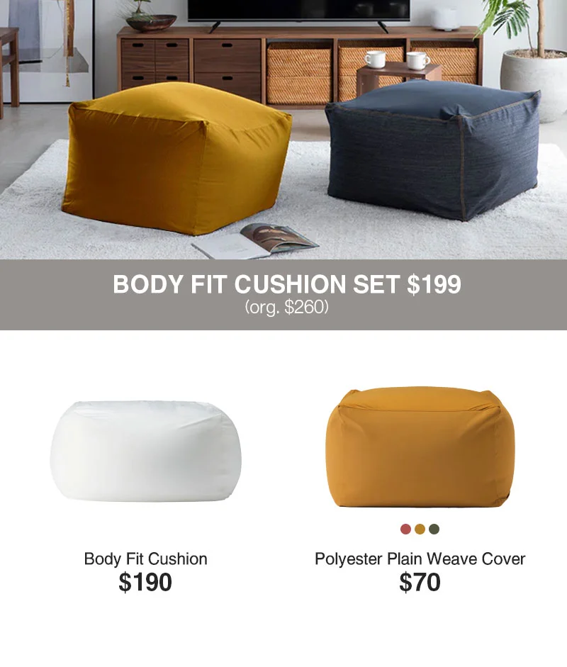 Shop $199 Body Fit Cushion Set