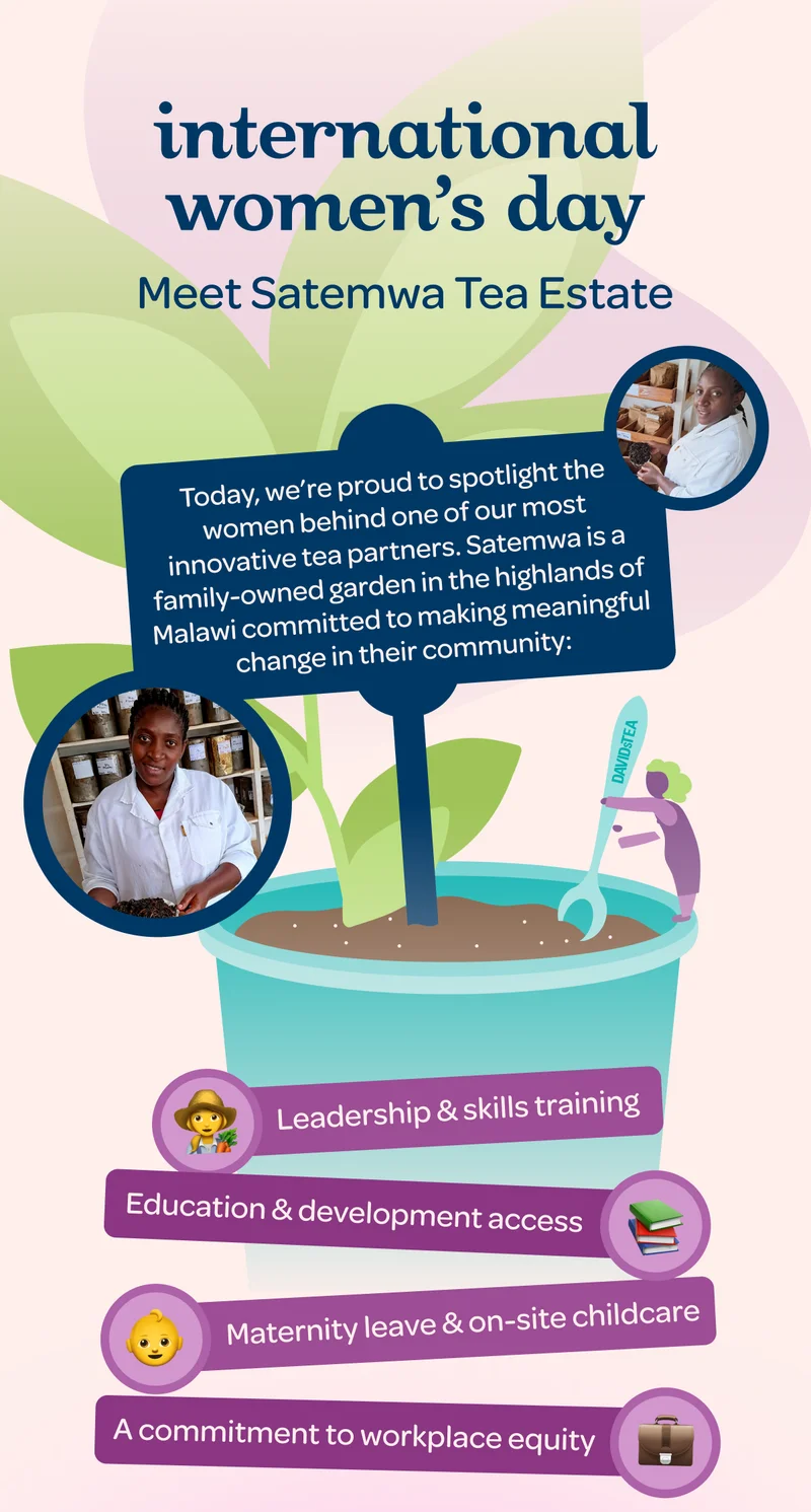 Today, we’re proud to spotlight the women behind one of our most innovative tea partners. Satemwa is a family-owned garden in the highlands of Malawi committed to make meaningful change in their community: