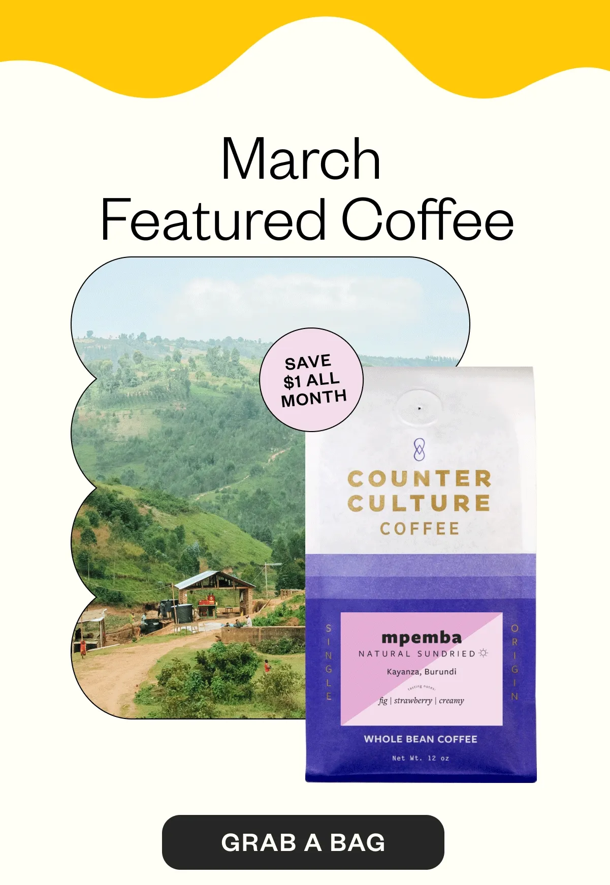 March Featured Coffee Mpemba Natural Sundried| Kayanza, Burundi Tasting Notes: fig | strawberry | creamy CTA: Grab a Bag March Featured Coffee Mpemba Natural Sundried| Kayanza, Burundi Tasting Notes: fig | strawberry | creamy CTA: Grab a Bag