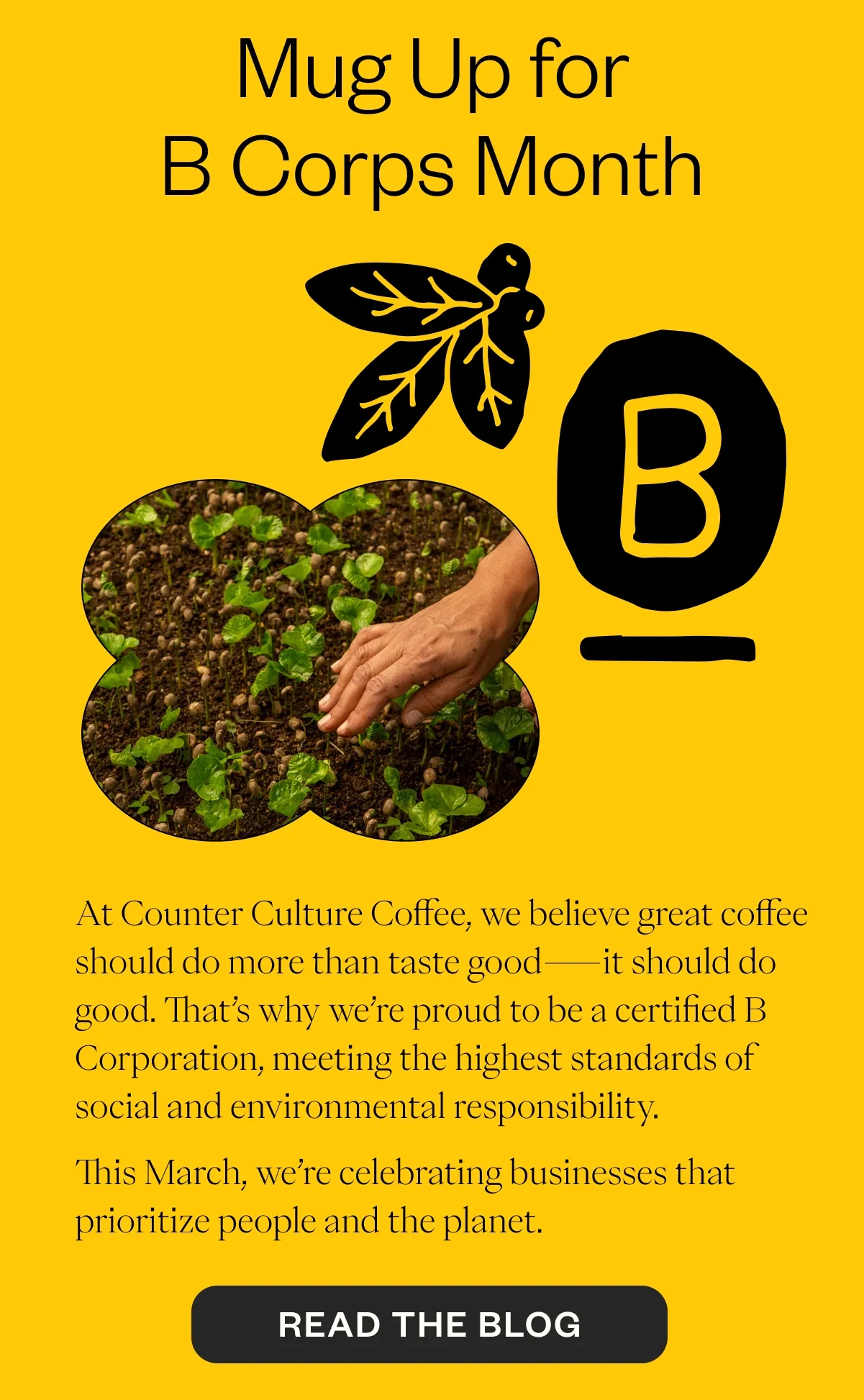 Mug Up for B Corps Month At Counter Culture Coffee, we believe great coffee should do more than taste good—it should do good. That’s why we’re proud to be a certified B Corporation, meeting the highest standards of social and environmental responsibility. This March, we’re celebrating businesses that prioritize people and the planet. Every time you choose B Corps like ours, you’re supporting a movement that’s making a real impact—one sip at a time. Mug Up for B Corps Month At Counter Culture Coffee, we believe great coffee should do more than taste good—it should do good. That’s why we’re proud to be a certified B Corporation, meeting the highest standards of social and environmental responsibility. This March, we’re celebrating businesses that prioritize people and the planet. Every time you choose B Corps like ours, you’re supporting a movement that’s making a real impact—one sip at a time.