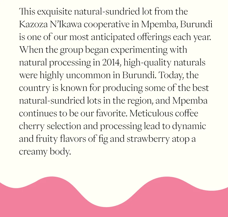 Save $1 all month! This exquisite natural-sundried lot from the Kazoza N’Ikawa cooperative in Mpemba, Burundi is one of our most anticipated offerings each year. When the group began experimenting with natural processing in 2014, high-quality naturals were highly uncommon in Burundi. Today, the country is known for producing some of the best natural-sundried lots in the region, and Mpemba continues to be our favorite. Meticulous coffee cherry selection and processing lead to dynamic and fruity flavors of fig and strawberry atop a creamy body. Save $1 all month! This exquisite natural-sundried lot from the Kazoza N’Ikawa cooperative in Mpemba, Burundi is one of our most anticipated offerings each year. When the group began experimenting with natural processing in 2014, high-quality naturals were highly uncommon in Burundi. Today, the country is known for producing some of the best natural-sundried lots in the region, and Mpemba continues to be our favorite. Meticulous coffee cherry selection and processing lead to dynamic and fruity flavors of fig and strawberry atop a creamy body.