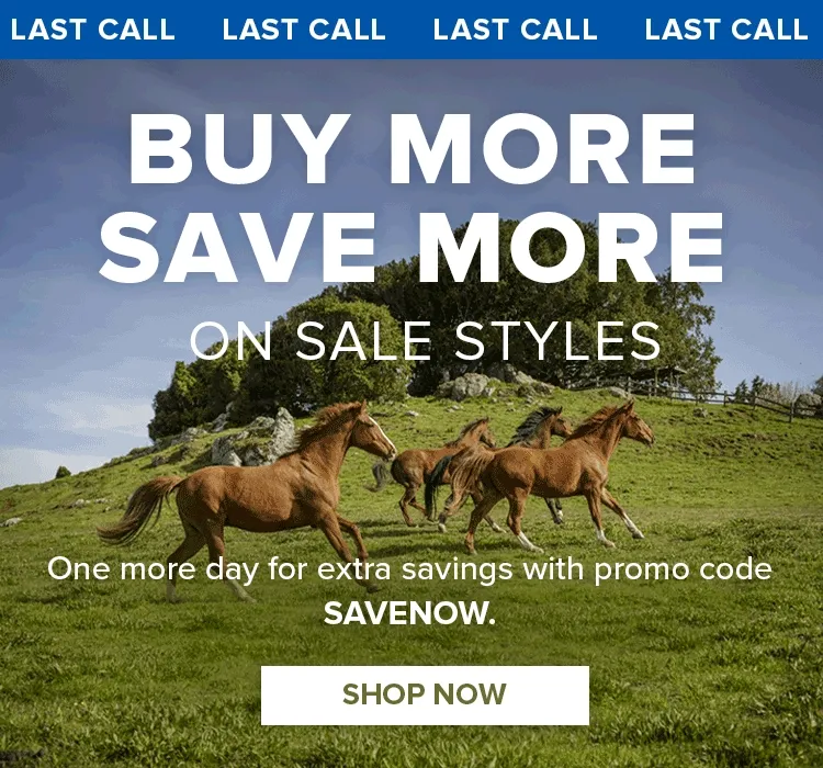 BUY MORE SAVE MORE ON SALE STYLES | PROMO CODE: SAVENOW