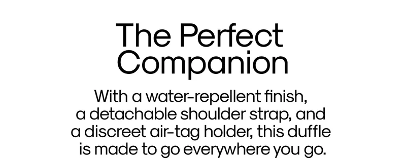 The Perfect Companion