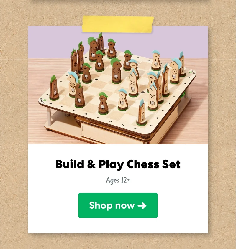 Build & Play Chess Set