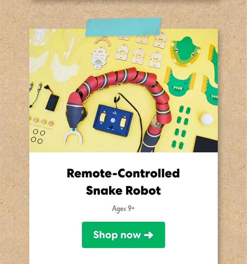 Remote-Controlled Snake Robot