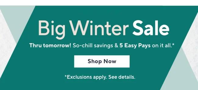 Big Winter Sale