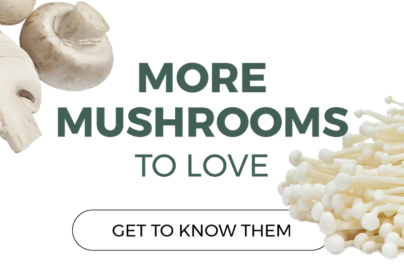More mushrooms to love