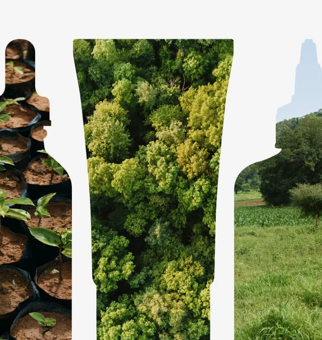 One Purchase = One Tree.