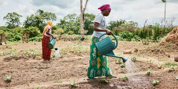 One Purchase = One Tree.