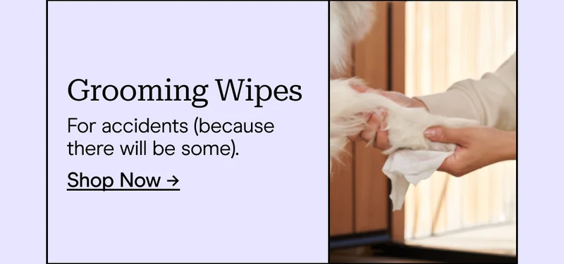 Grooming Wipes For accidents (because there will be some). Shop Now →
