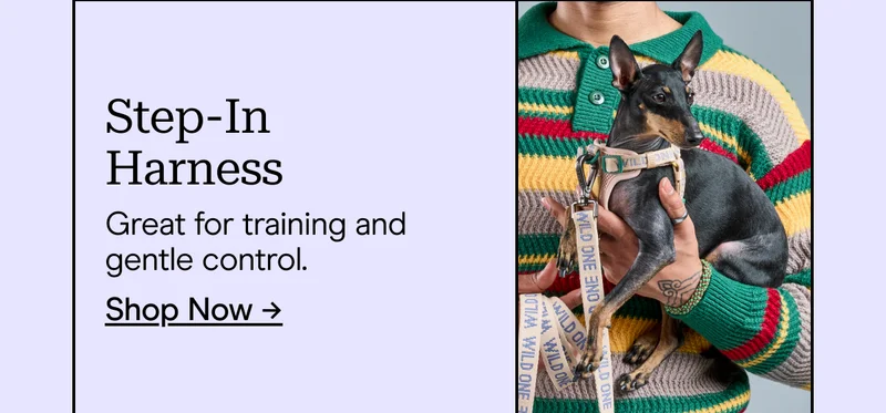 Step-In Harness Great for training and gentle control. Shop Now →