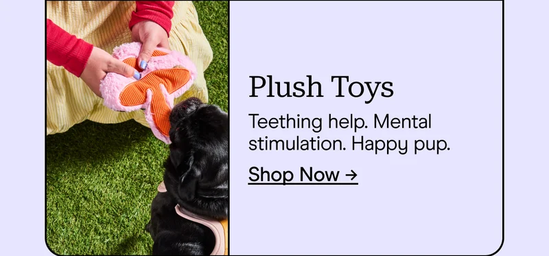 Plush Toys Teething help. Mental stimulation. Happy pup. Shop Now →