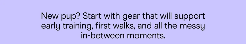 New pup? Start with gear that will support early training, first walks, and all the messy in-between moments.