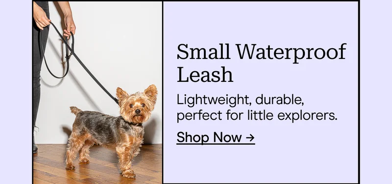 Small Waterproof  Leash Lightweight, durable, perfect for little explorers. Shop Now →