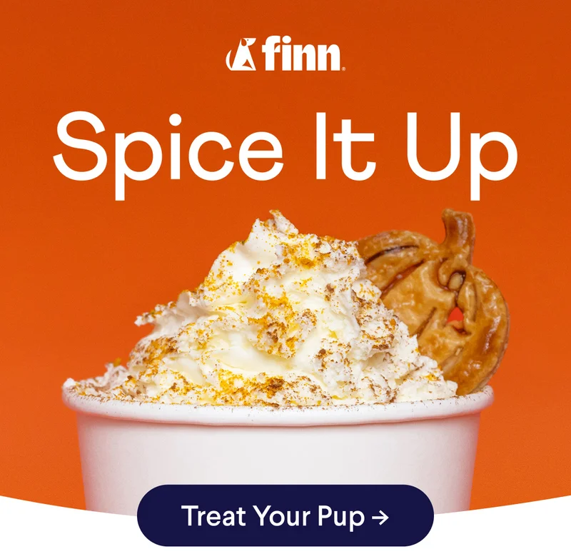 Spice It Up | Treat Your Pup!