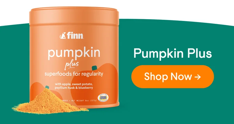 Pumpkin Plus | Shop Now –>