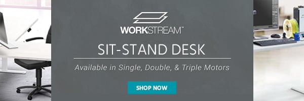 Sit Stand Desk