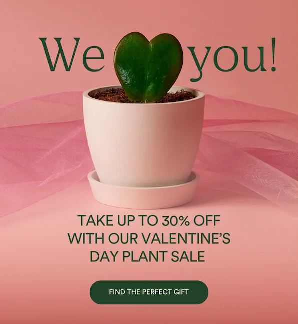 up to 30% off valentine's day plants
