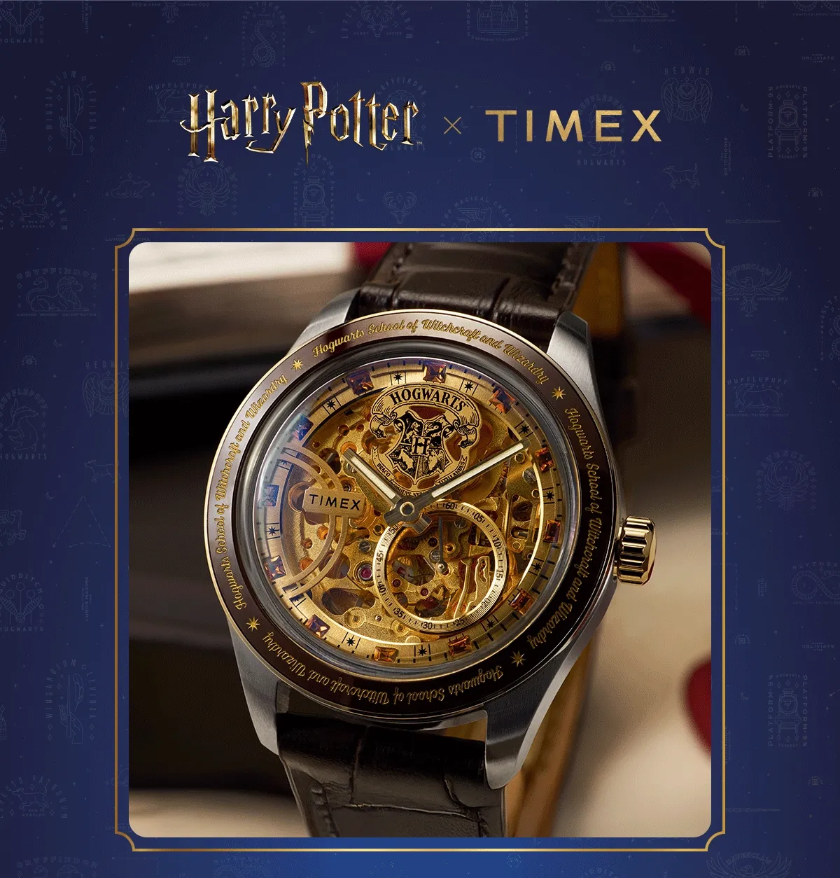 Harry Potter x Timex