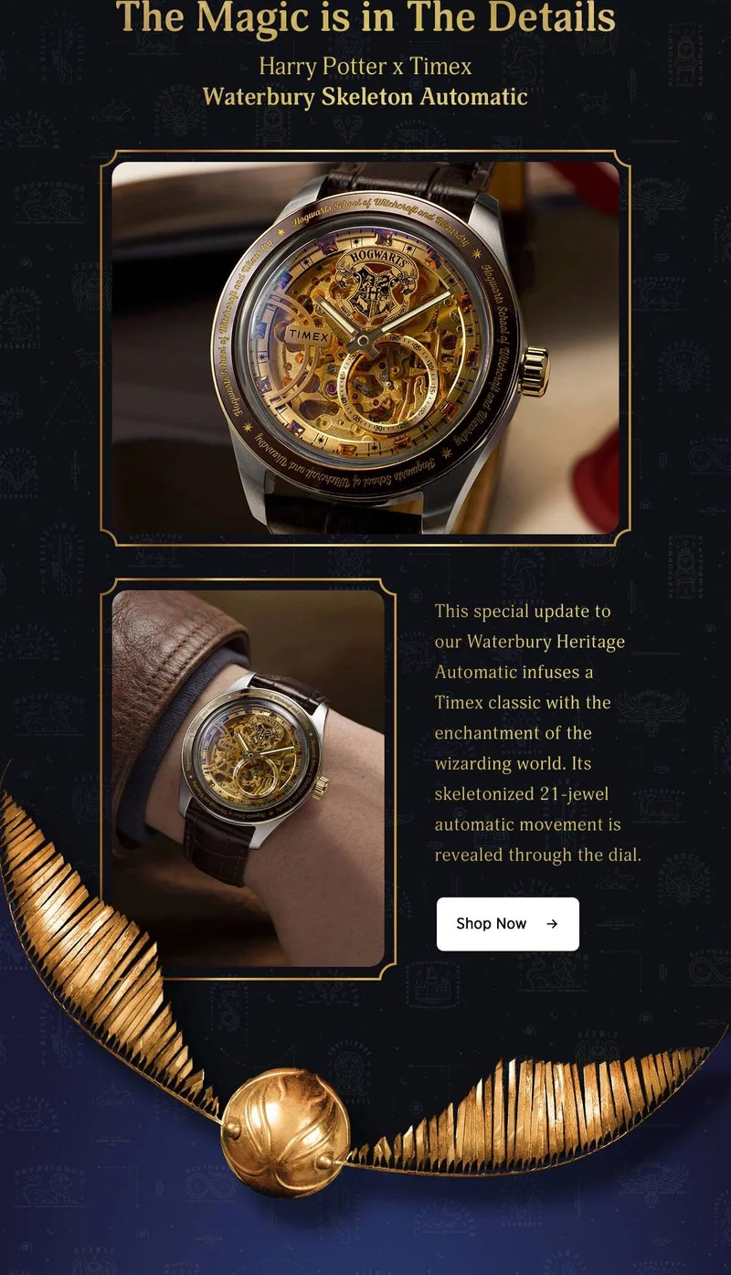 Shop All (Harry Potter x Timex Waterbury Skeleton Automatic) - Timex
