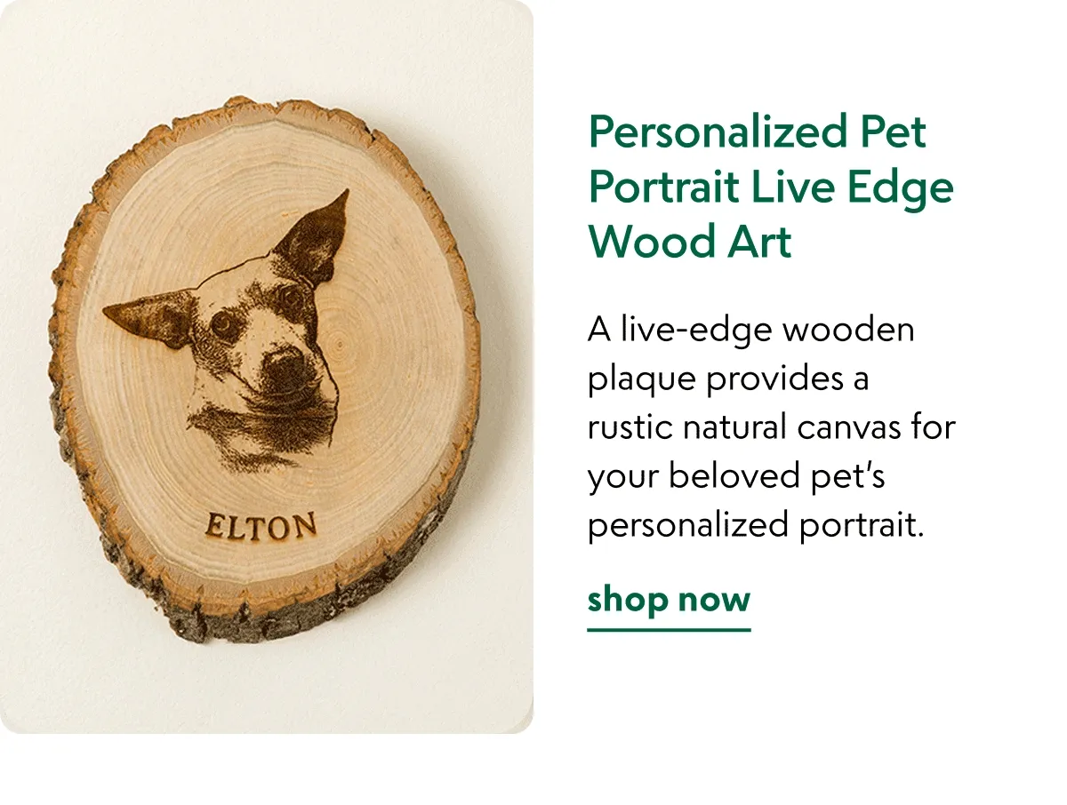 personalized-pet-portrait-live-edge-wood-art