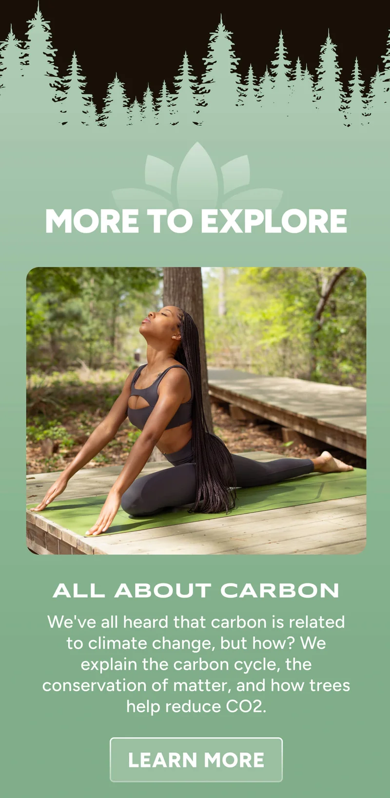 More to explore –  All About Carbon We've all heard that carbon is related to climate change, but how? We explain the carbon cycle, the conservation of matter, and how trees help reduce CO2. Learn More
