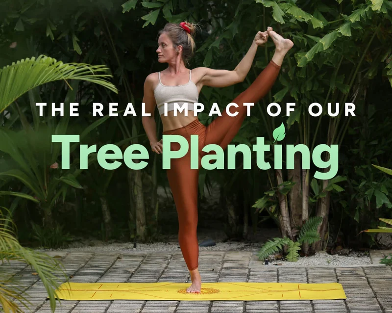 The real impact of our tree planting