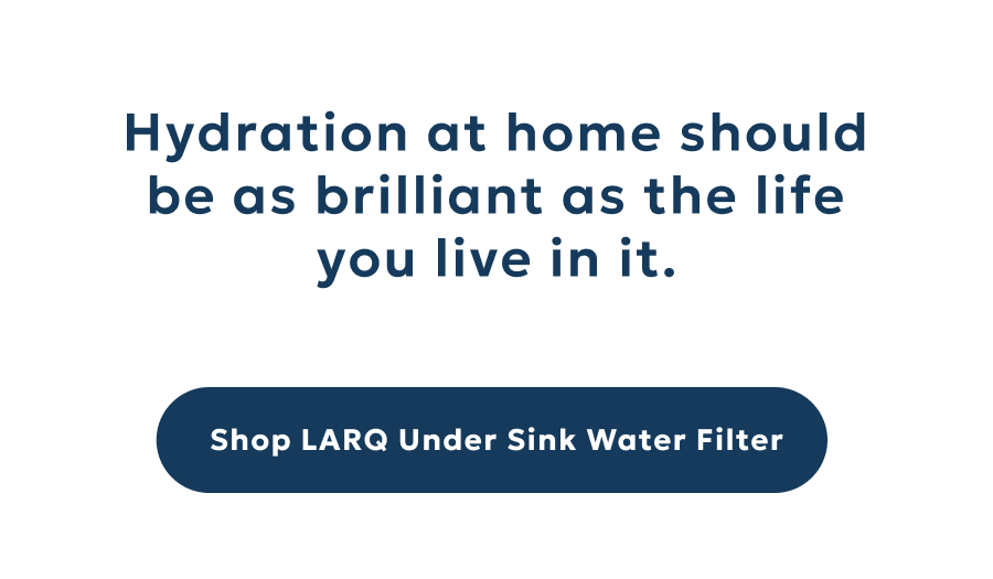 Shop LARQ Under Sink Water Filter