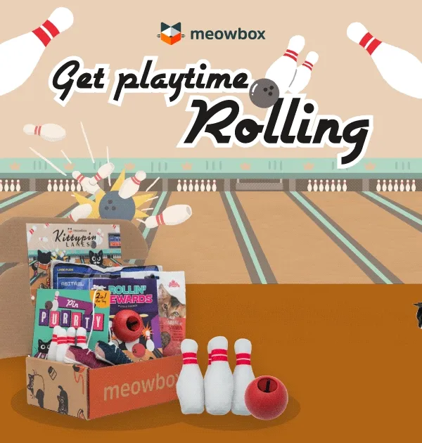 Get playtime rolling! Image of a black white spotted cat next to the Kittypin Lanes meowbox (featuring toys like the Rollin' Rewards, Pin Purrty 2 in 1, Scratch & Strike toy and more)