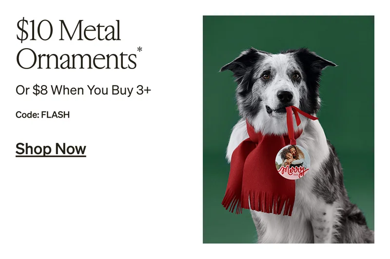 10 Free Holiday Cards + Up to 50% Off Almost Everything