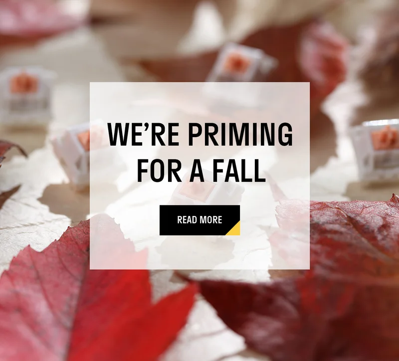 We're Priming for a Fall We're Priming for a Fall