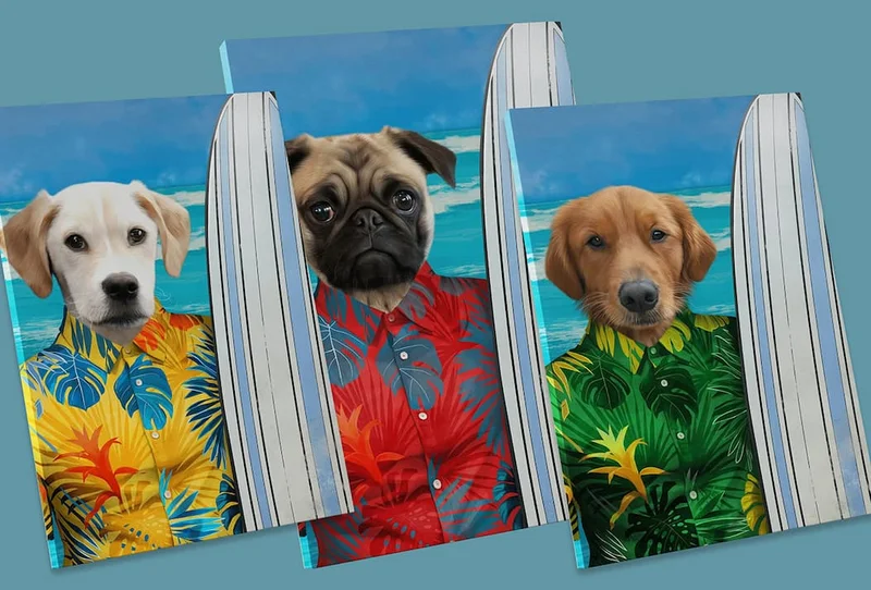 Surfer Portraits