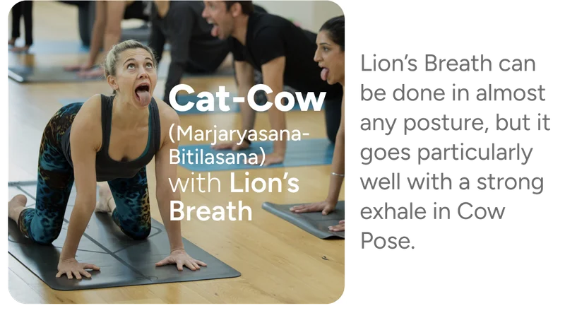 Cat-Cow