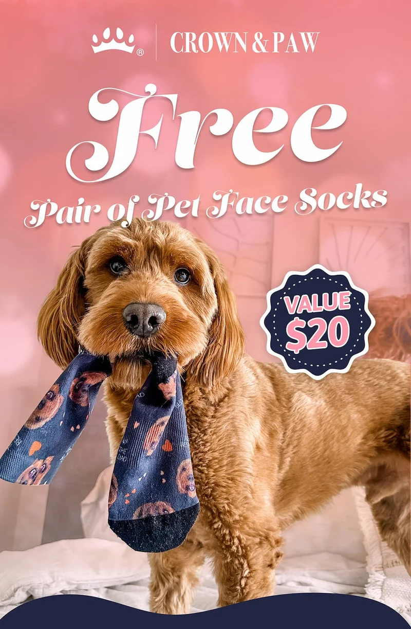 FREE Pet Face Socks (worth $20)