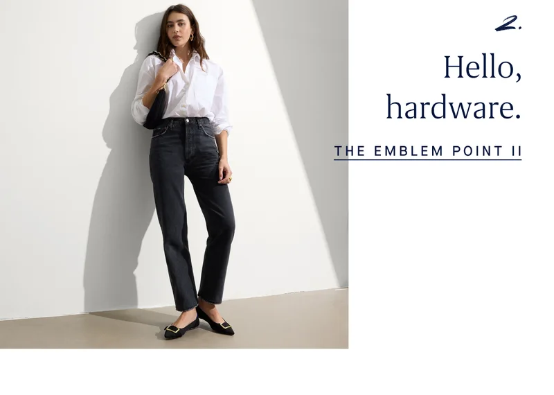 2. Hello, hardware. THE EMBLEM POINT II