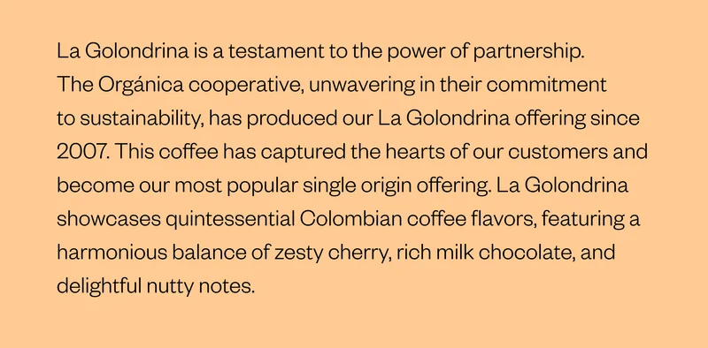 La Golondrina is a testament to the power of partnership. The Orgánica cooperative, unwavering in their commitment to sustainability, has produced our La Golondrina offering since 2007. This coffee has captured the hearts of our customers and become our most popular single origin offering. La Golondrina showcases quintessential Colombian coffee flavors, featuring a harmonious balance of zesty cherry, rich milk chocolate, and delightful nutty notes