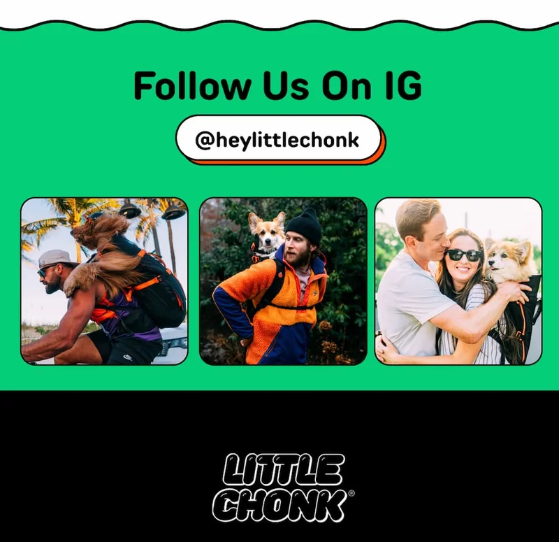 Follow us on IG